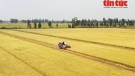 農業の機械化が加速しており、ベトナムにおける国際協力の機会が拡大している。