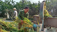 Adattarsi in modo proattivo all'aumento dei prezzi dei fattori di produzione agricola.