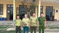 Binh Gia Regional Forest Protection Unit har netop modtaget en sjælden langsom lori.