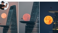 'Chang'e' کی شاندار خوبصورتی ویتنام میں سیاحوں کو مغلوب کرتی ہے۔