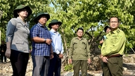 Kiểm tra công tác phòng cháy chữa cháy rừng trên địa bàn xã Ô Lâm