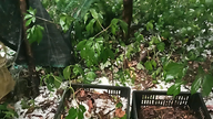 Hailstorms and thunderstorms caused damage in many areas.