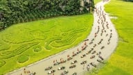 Ninh Binh houkuttelee turisteja ihailemaan Tam Cocin kultaista vuodenaikaa.