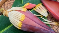 5 medicinske retter lavet af bananblomster.