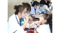Multe activități practice de voluntariat
