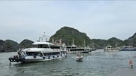 Krydstogtsruten mellem Ha Long-bugten og Lan Ha-bugten er begyndt at køre.
