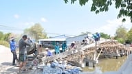 สะพานที่สร้างโดยชาวบ้านในหมู่บ้านวันคานห์