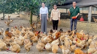 Hoa An verbindt landbouwproductie en -consumptie.