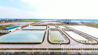 Acelerar el progreso del Proyecto Ciudad Verde de Vinh Phuc.