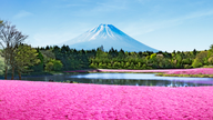 Sărbătoare (30 aprilie și 1 mai) - Hai să explorăm ținutul colorat al Japoniei!