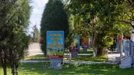 На островах Спратлі навіть дерева «вчаться бути солдатами».
