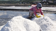 Revivir las salinas de Sa Huynh: Preservar una artesanía centenaria y allanar el camino para el turismo.