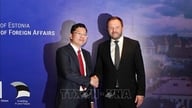 Mewujudkan asas untuk kerjasama jangka panjang antara Vietnam dan Estonia.