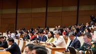 Parlamento arenasından kültürel hayata