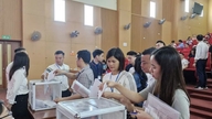 Hanoi: 17 land plots in Quoc Oai commune were successfully auctioned off at prices ranging from 84 to 125 million VND/m2.