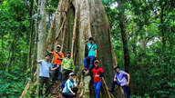 Dong Nai planea desarrollar 51 destinos de ecoturismo en la Reserva Natural y Cultural.
