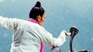 ¿Qué animales se utilizan con mayor frecuencia en el kung fu chino?
