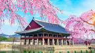 ¿Qué objetos tienen prohibido introducir los turistas al entrar en Corea del Sur?