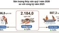 Akvakulturproduktionen nåede 2,18 millioner tons i 1. kvartal 2026, med en eksportvækst på 13,3 %.