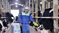Die Provinz Phu Tho hat 207 sichere Lebensmittelversorgungsketten für landwirtschaftliche, forstwirtschaftliche und aquatische Produkte eingerichtet.