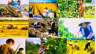 El lema "Arroz aromático - Camarones limpios" se extiende por todo el espacio OCOP (Una Comuna, Un Producto).