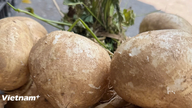 Manfaat yang tidak dijangka daripada sayur akar biasa yang mudah didapati di pasaran Vietnam.