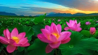 Ngày lịch sử