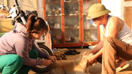 លោក ងៀ ឡូ ពង្រឹងការបង្ការ និងគ្រប់គ្រងជំងឺឆ្កែឆ្កួត បន្ទាប់ពីរកឃើញករណីសង្ស័យថាមានជំងឺឆ្កែឆ្កួតលើសត្វឆ្កែ។