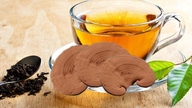 É aconselhável beber chá de cogumelo reishi diariamente durante o verão?