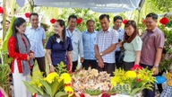 Warna-warna cerah kek tradisional Vietnam Selatan bertemu di Vinh My.