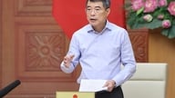 Die Verwendung eines landesweit einheitlichen Lehrbuchs im vietnamesischen Bildungswesen bis 2026 sicherstellen.