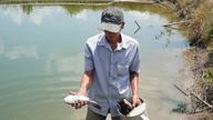 Des mortalités massives de poissons ont été constatées aux alentours de la zone de pompage de sable du chantier de construction de l'aéroport de Ca Mau.