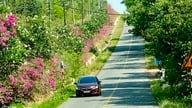 سرمایه‌گذاری در زیرساخت‌های یکپارچه روستایی