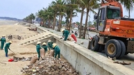ชายหาดที่มีหนามแหลมจำนวนมากในหาดชื่อดังแห่งหนึ่งในจังหวัดแทงฮวา กำลังได้รับการทำความสะอาด