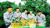 Phát huy giá trị của nhãn hiệu chứng nhận, nhãn hiệu tập thể