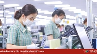 차세대 외국인 직접투자(FDI): 레드카펫을 깔아주는 것부터 독수리 둥지를 짓는 것까지.