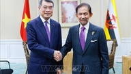 Posilování přátelských vztahů a spolupráce mezi Vietnamem a zeměmi ASEAN a bankou ADB.
