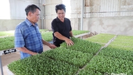 Xuan Loc dezvoltă o agricultură de înaltă tehnologie.