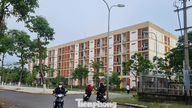 दा नांग पार्टी के सचिव ने यूनिवर्सिटी विलेज को दक्षिण में स्थानांतरित करने से संबंधित जानकारी के बारे में क्या कहा?