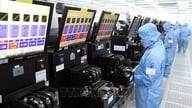 새로운 개발 전략에서 외국인직접투자(FDI)의 역할을 재정립합니다.