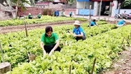 Startups verdes: um caminho sustentável.