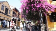 Gençler, begonvil çiçeği mevsiminde fotoğraf çektirmek için Hoi An antik kentine akın ediyor.