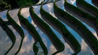 Sawah padi bertingkat Muong Bo semasa musim hujan.