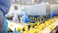 Sektor pengolahan dan manufaktur terus memainkan peran utama dalam produksi industri.