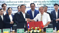 Hoang Anh Gia Lai investuje do 5 000 hektarů kávy v Laosu.