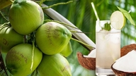 8 healthy drinks to help replenish fluids and protect your health during the summer.