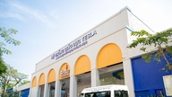 Die Tesla School erweitert das Angebot des International Baccalaureate Programms.