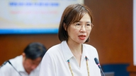 Ho Chi Minh City planlægger forebyggende foranstaltninger, da denguefeberen topper i juni.