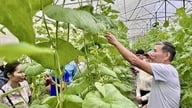 Digitalisering af landbruget baner vejen for gennembrud inden for Thanh Hoas landbrugsprodukter.