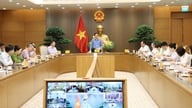 Vi skal resolut rette op på situationen med "køb og salg" af områdekoder for plantning og beskytte vietnamesiske landbrugsprodukters omdømme.
